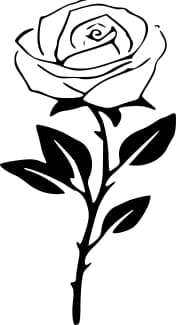 The Black Rose image 1