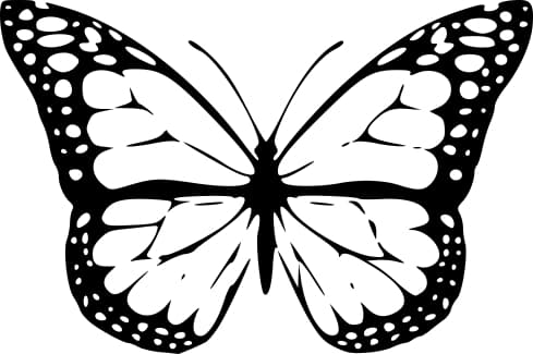 Metamorphosis image 1