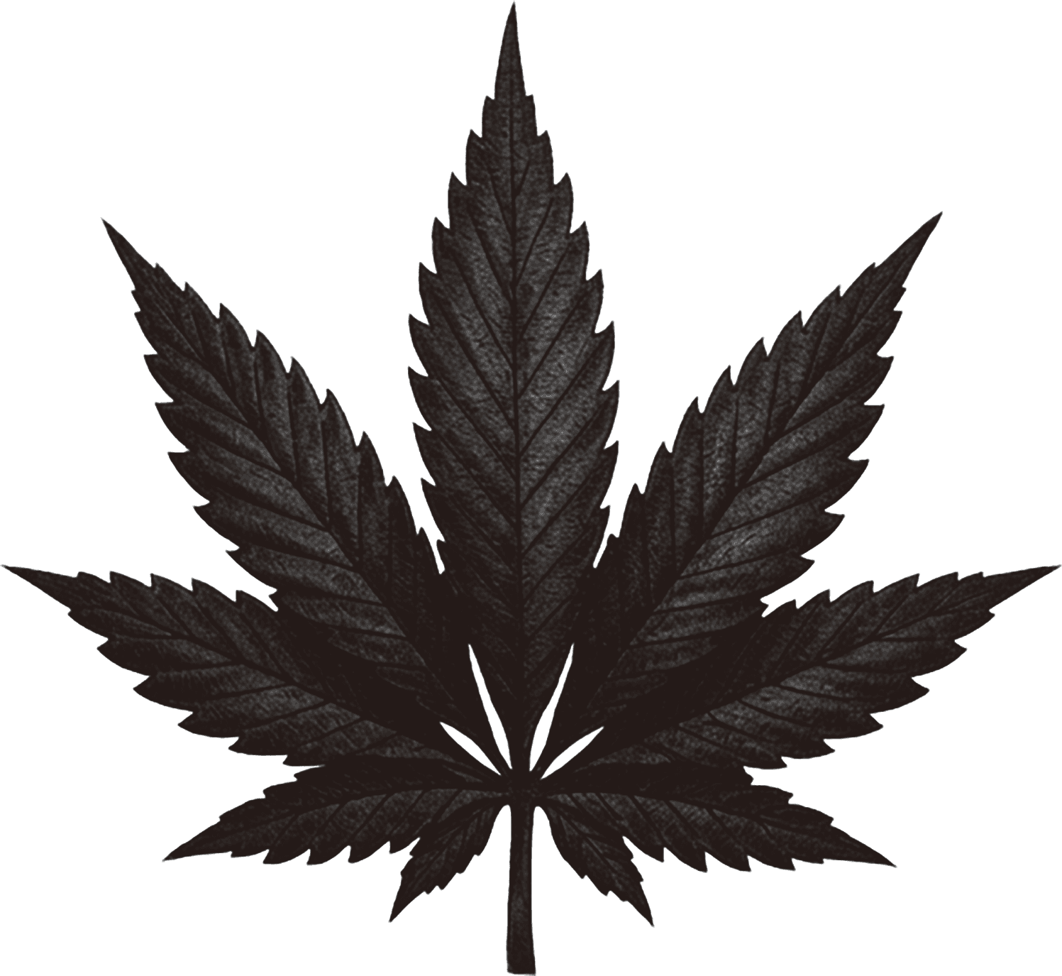 Forbidden Leaf image 1